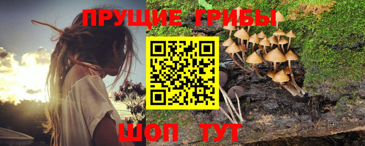 COCAIN Донецк
