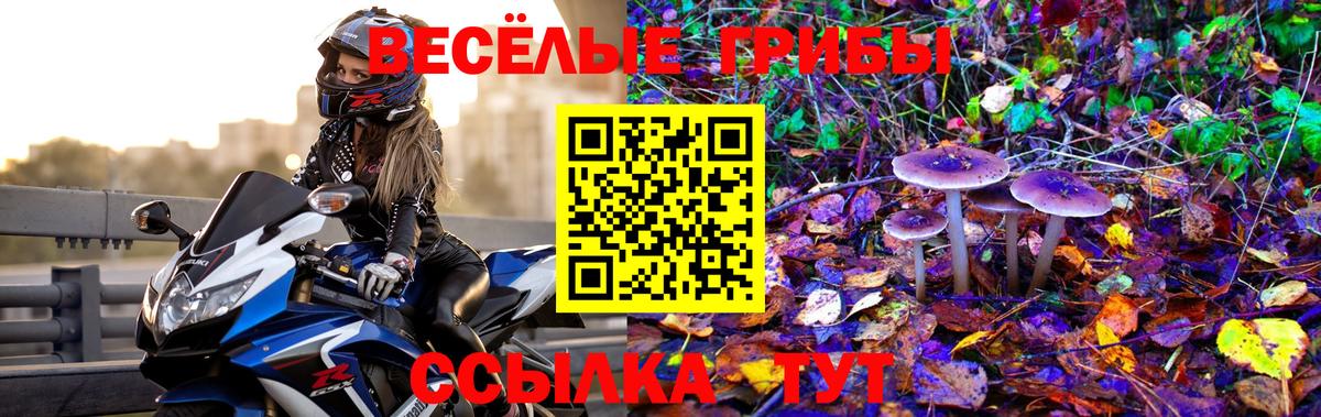 Донецк  Псилоцибиновые грибы GOLDEN TEACHER  Вход с VPN  Псилоцибиновые грибы Cubensis 