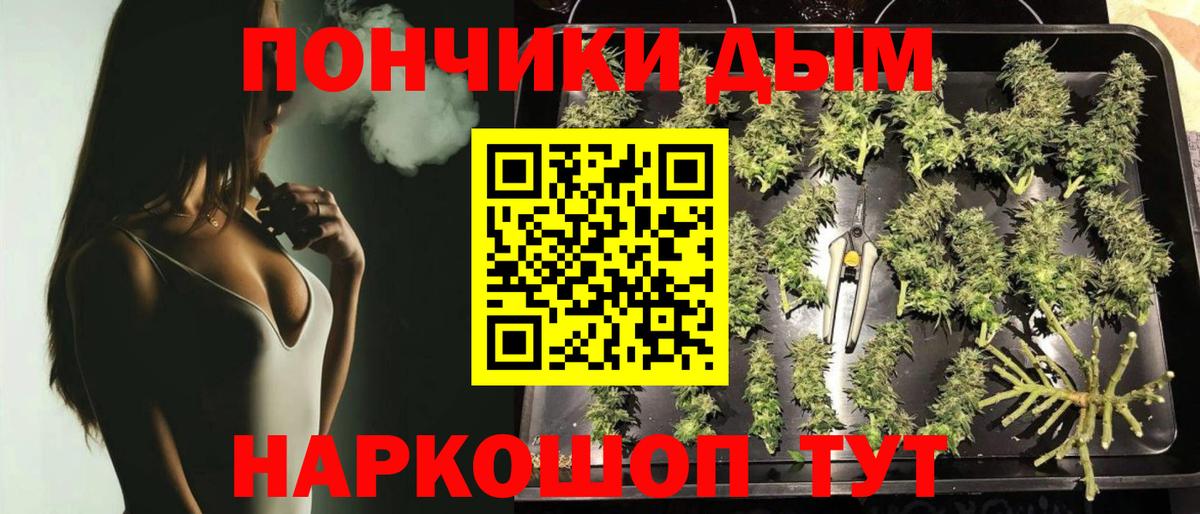 Донецк  Бошки Шишки SATIVA & INDICA  Вход с VPN  Конопля планчик  Марихуана ГИДРОПОН 